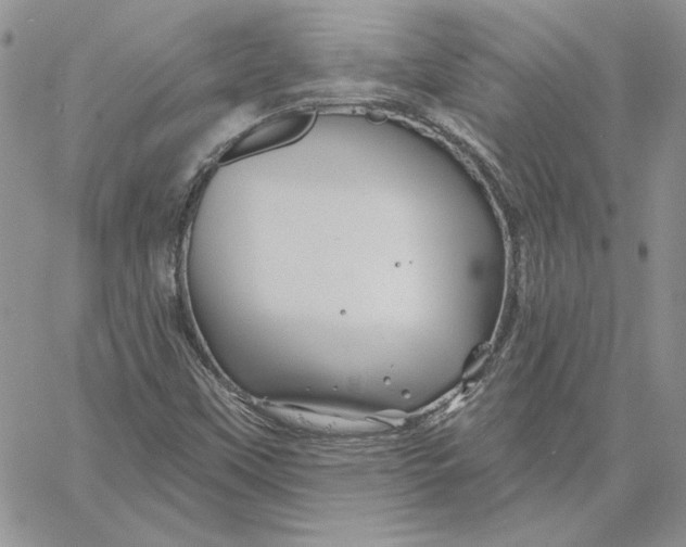 X0000060581451200511241329