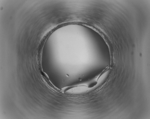 X0000060581452200511241329