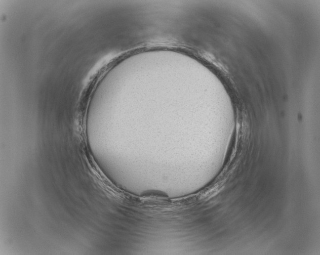 X0000060581454200511241329