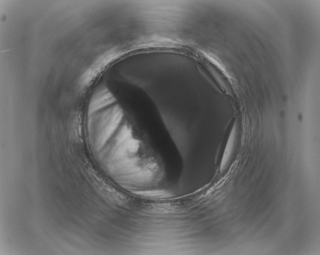 X0000060581455200511241329