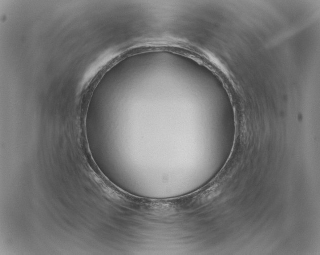 X0000060581456200511241329