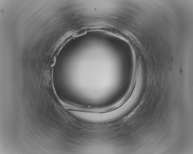 X0000060581457200511241329