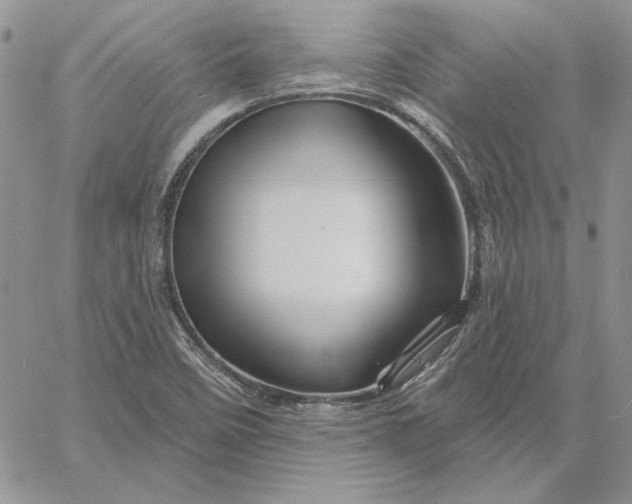 X0000060581458200511241329