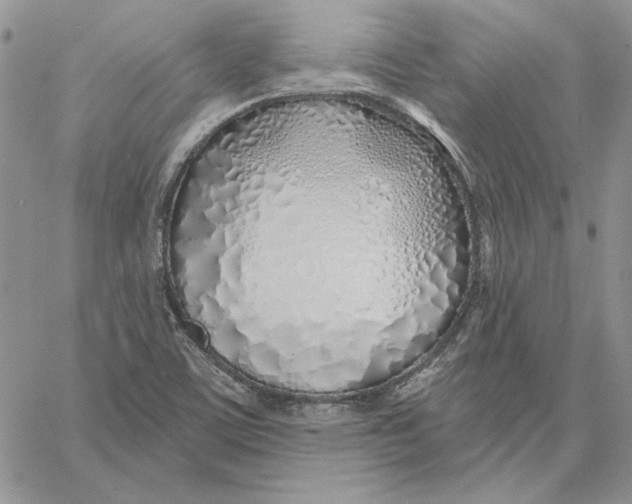 X0000060581459200511241329