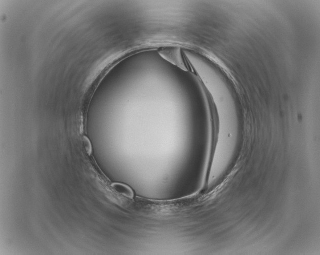 X0000060581461200511241329