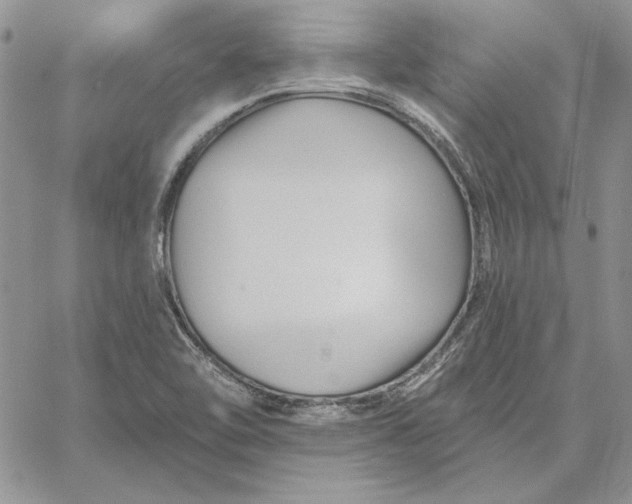 X0000060581462200511241329