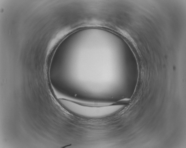 X0000060581464200511241329