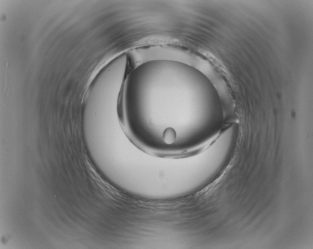 X0000060581465200511241329