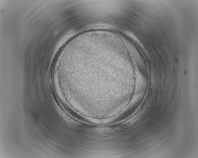 X0000060581466200511241329