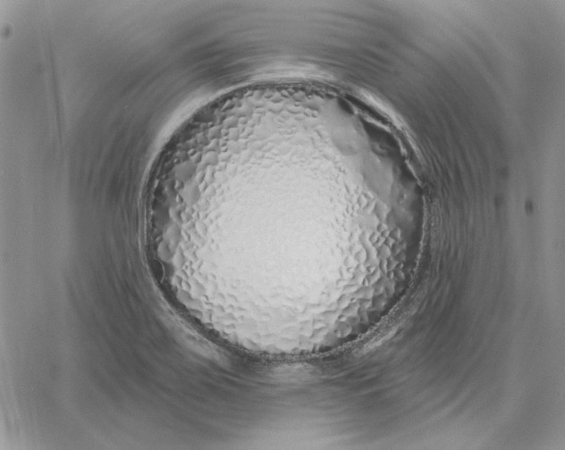 X0000060581467200511241329