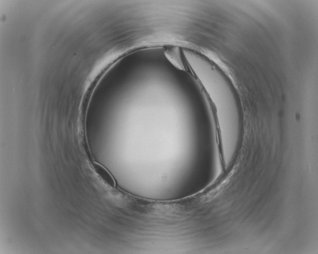 X0000060581469200511241329