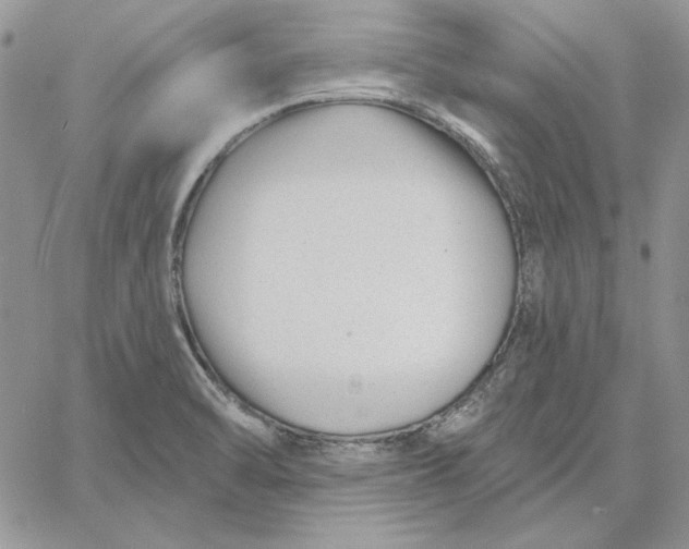 X0000060581470200511241329