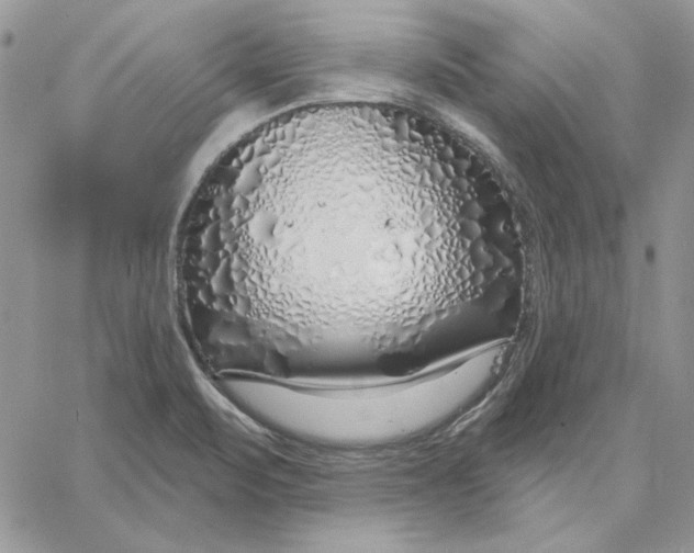 X0000060581471200511241329