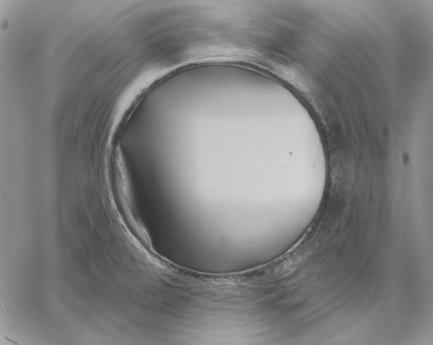 X0000060581472200511241329