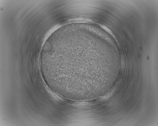 X0000060581474200511241329