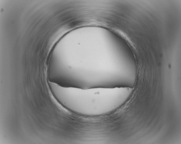 X0000060581476200511241329