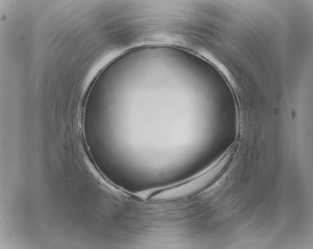 X0000060581477200511241329