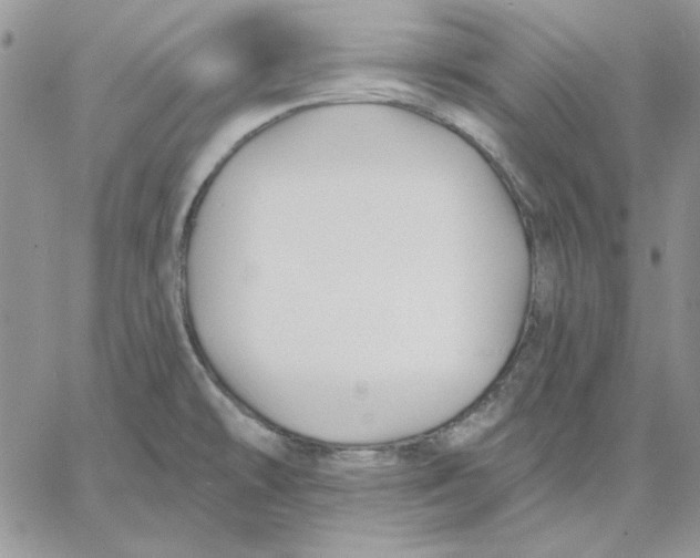 X0000060581478200511241329