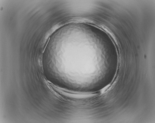 X0000060581481200511241329