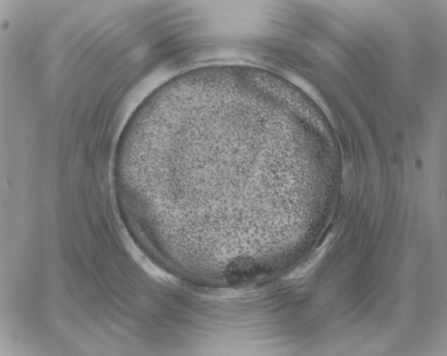 X0000060581482200511241329