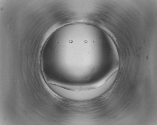 X0000060581483200511241329