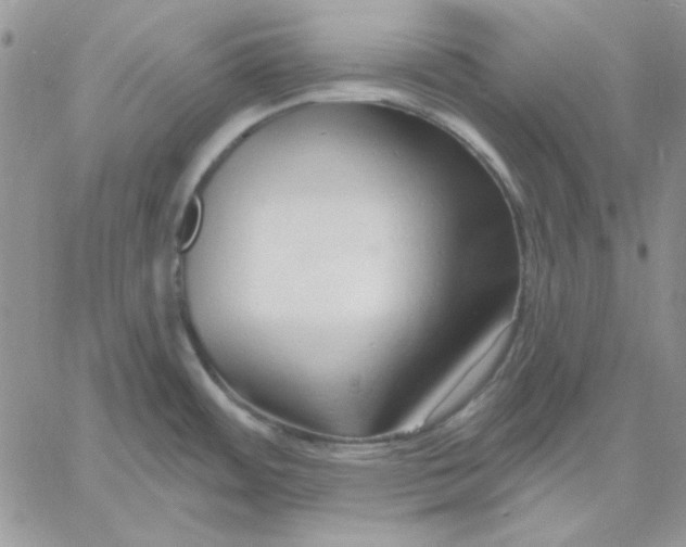 X0000060581484200511241329