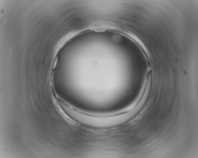 X0000060581485200511241329