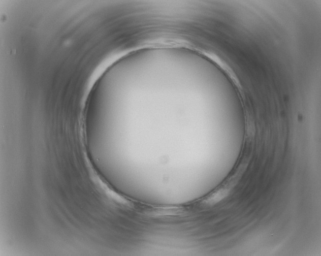 X0000060581486200511241329