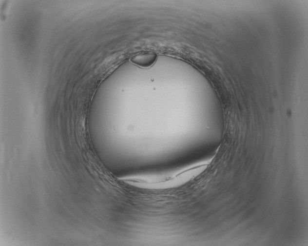 X0000060581489200511241328