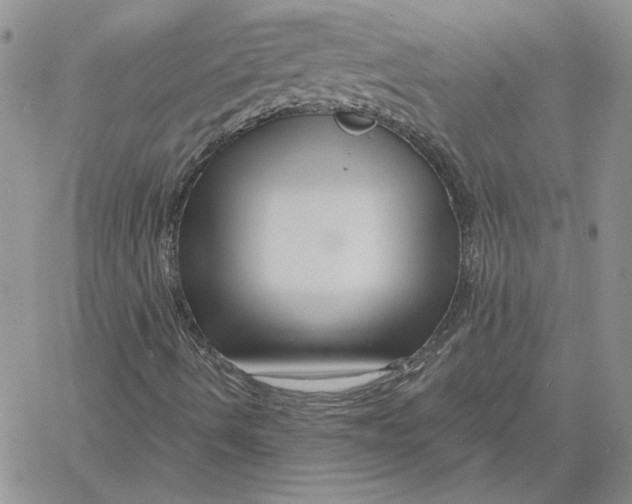 X0000060581490200511241328