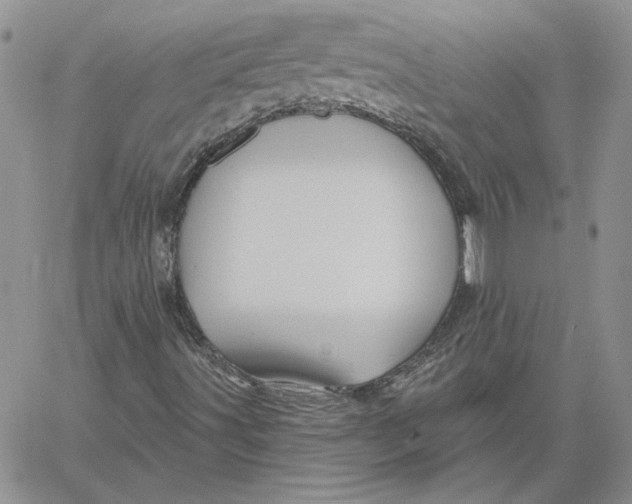 X0000060581491200511241328