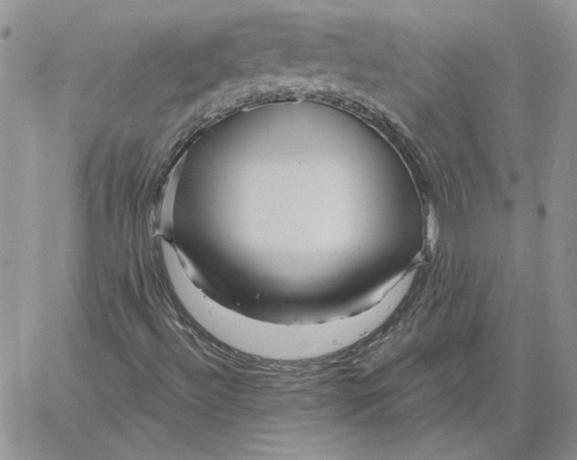 X0000060581492200511241328