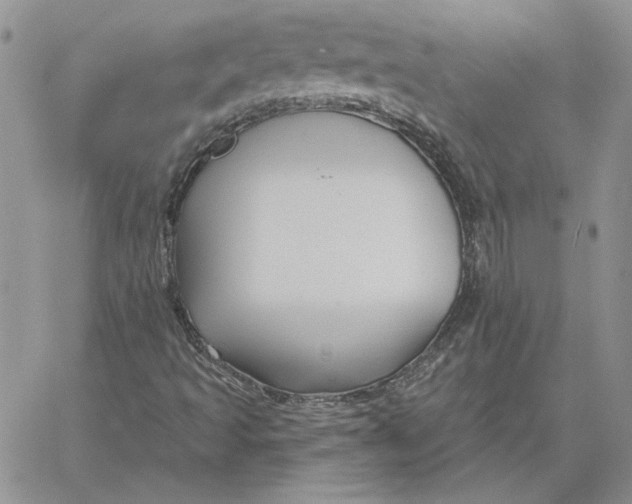 X0000060581493200511241328