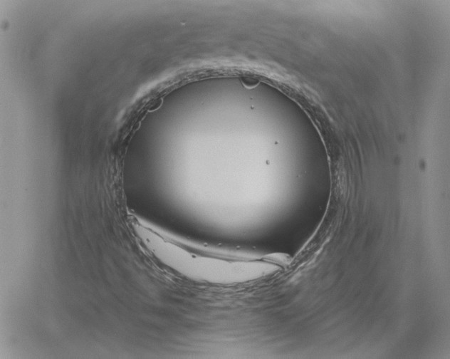 X0000060581494200511241328