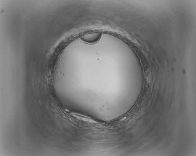 X0000060581495200511241328