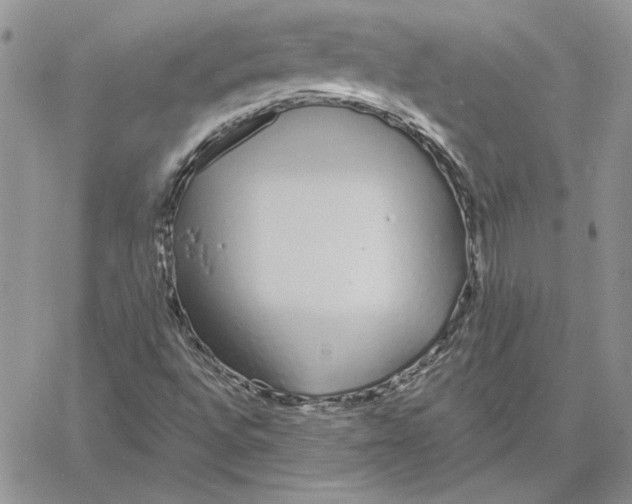 X0000060581496200511241328