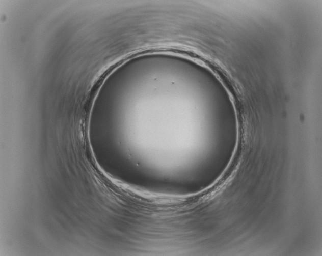 X0000060581497200511241328