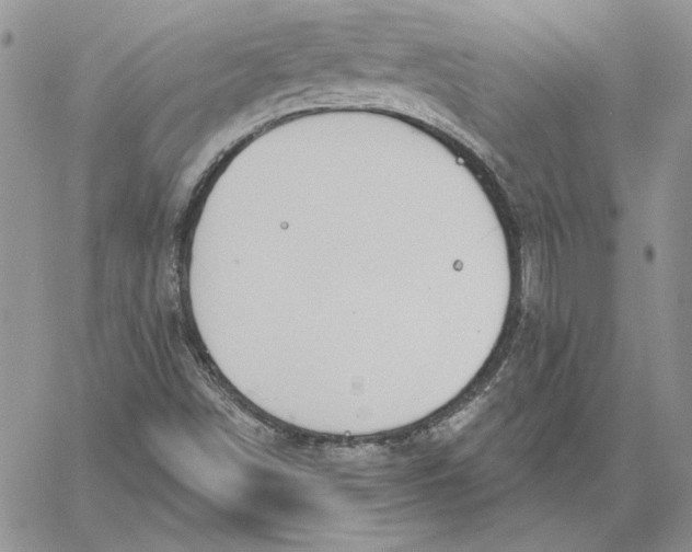 X0000060581498200511241328