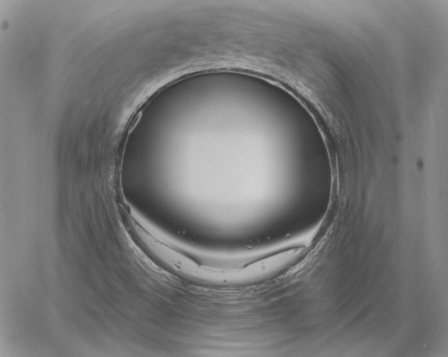 X0000060581500200511241328