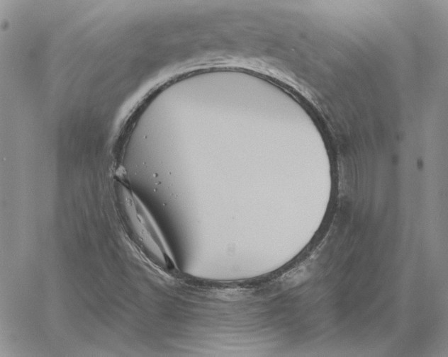 X0000060581502200511241328