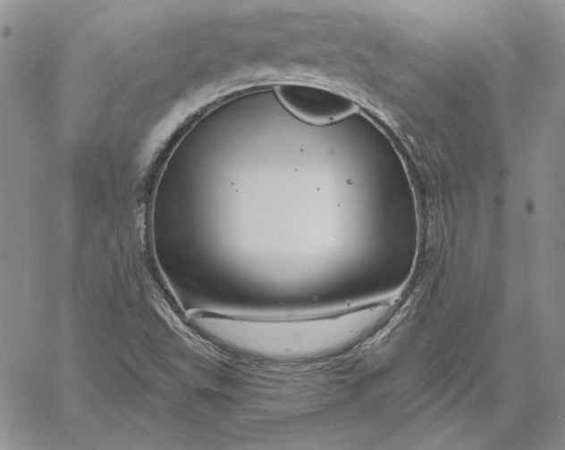 X0000060581503200511241328