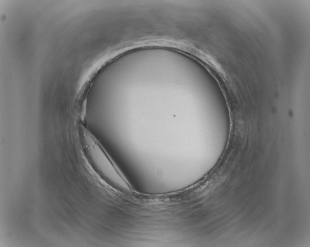 X0000060581504200511241328