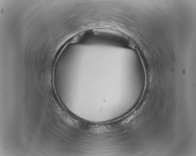 X0000060581505200511241328