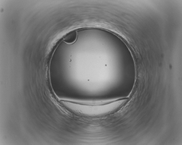 X0000060581507200511241328