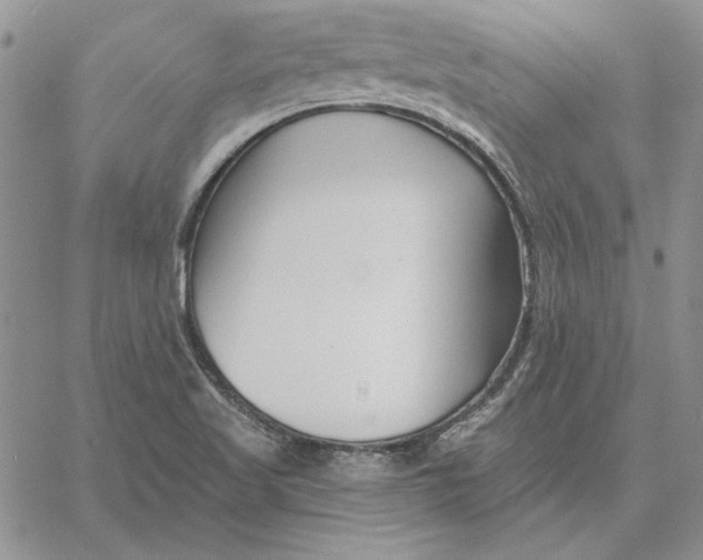 X0000060581509200511241328