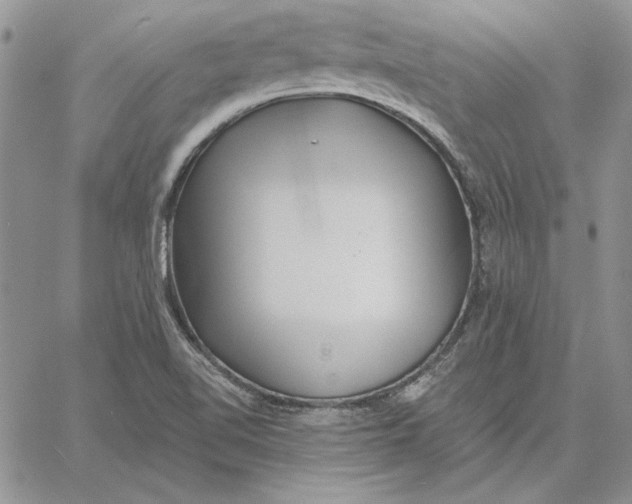 X0000060581510200511241328