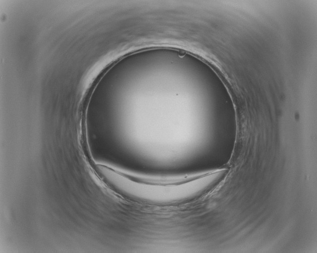 X0000060581511200511241328