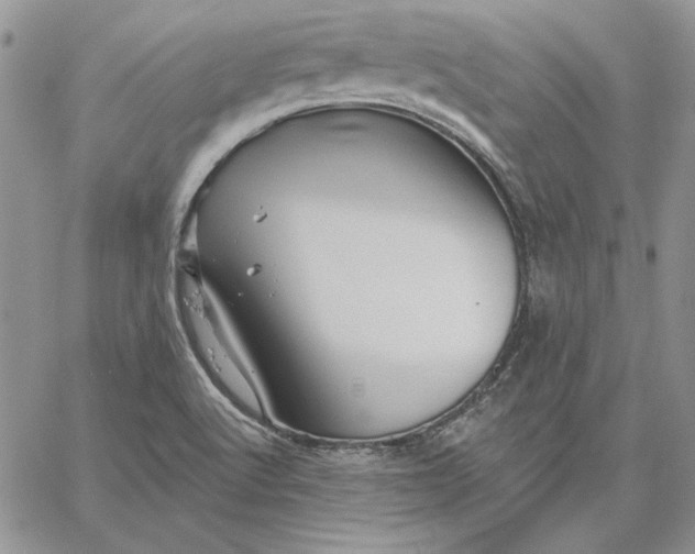 X0000060581512200511241328