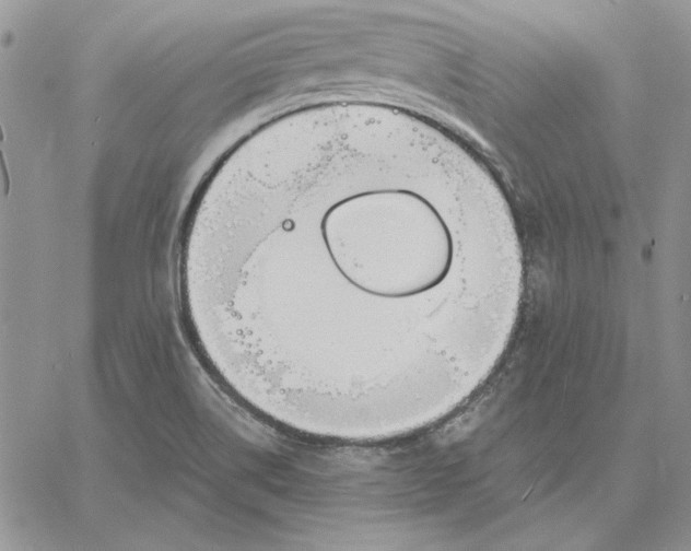 X0000060581514200511241328