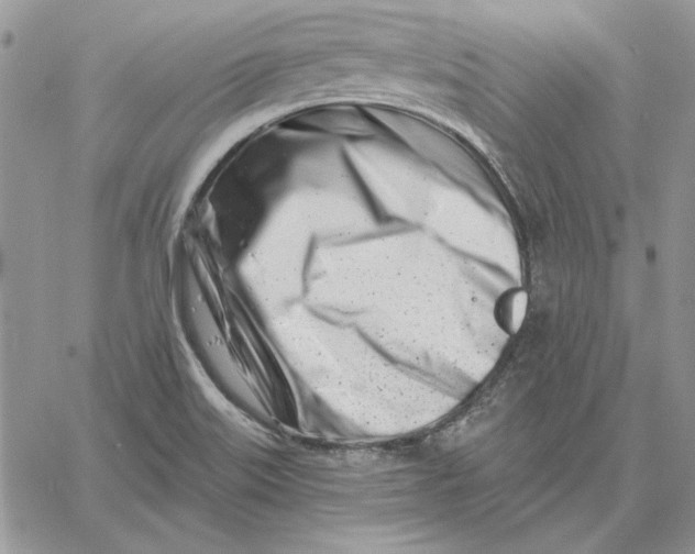 X0000060581515200511241328